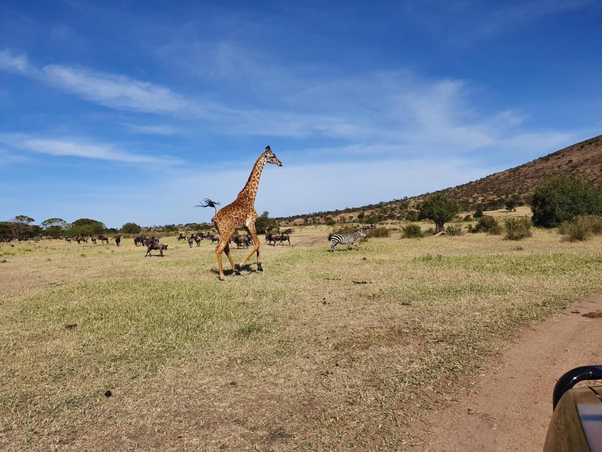 Africa Safari Lake Natron Mtowabaga Экстерьер фото