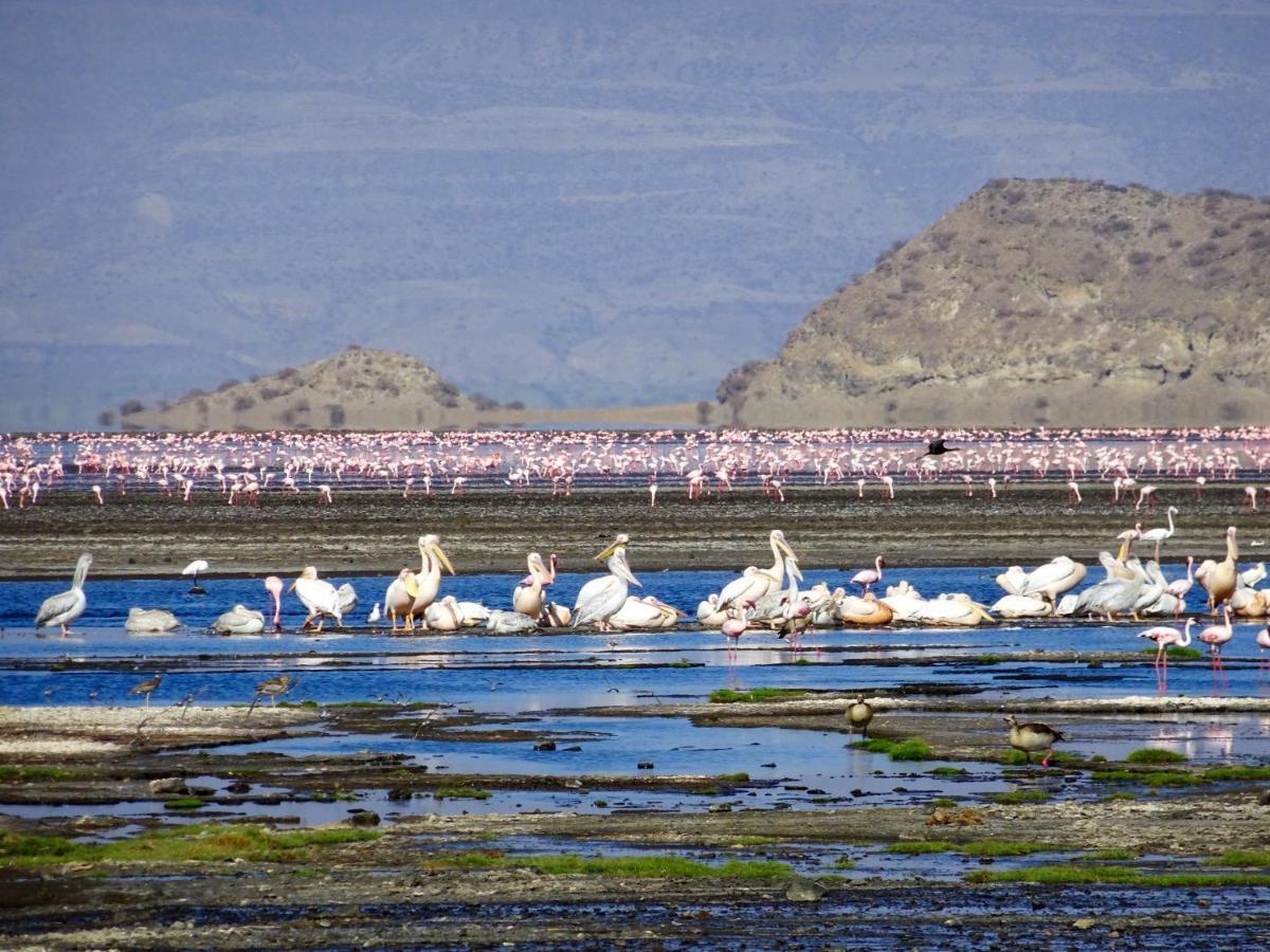 Africa Safari Lake Natron Mtowabaga Экстерьер фото